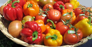 A family is subdivided into genera (the plural of genus.) Nightshade Foods List What Nightshades Are Benefits And Concerns