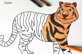 Printable tiger coloring pages a majestic creature with ties to distant lands, the tiger is the perfect animal to study for both science and. Tiger Free Printable Templates Coloring Pages Firstpalette Com