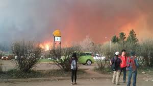Chad morrison of alberta wildfire said it's not uncommon to fight such an inferno in forested areas for. Wildfire Forces Fort Mcmurray Alberta To Evacuate The Two Way Npr