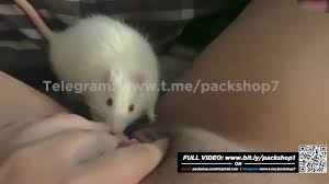 Giantess Krystla Vore Fish- Real Life ASMR