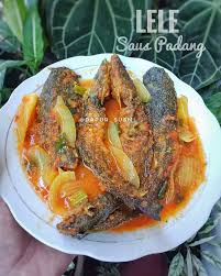 Aturannya bagus, dan saya setuju, tapi kemudian keluar aturan lain yang kontradiktif, mudik dilarang tapi wisata dipersilahkan. Lele Saus Padang By Resep Aneka Jajan Pasar Facebook