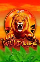 Remember, all igt slots come in two modes hence you can play in the mode you prefer either free or for real bucks! Igt Slots Play Free Igt Slots Machines Games 50 Online Casinos 2021