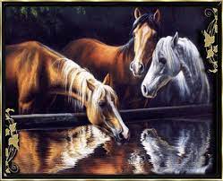 Reflection In Horses Horses Horse Pictures Animals Our original happy birthday gifs is the perfect way to let someone know you care and that you are thinking of them on their special day. reflection in horses horses horse