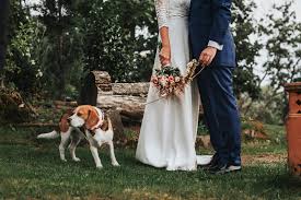El hotel rural tres mentiras se halla situado en la pequeña población de aldeanueva del camino. 1 Boda Ruta Imperial Gastro Eventos Cuadriga Foto Video