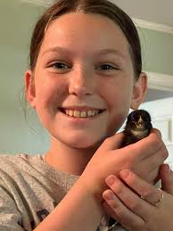 What type of waterer is best for baby quail?