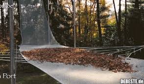 Wann kommt der tag (my elusive dreams). Der Herbst Kommt Lustige Bilder Spruche Witze Echt Lustig