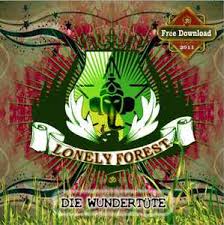 Daniel Kulczycki Discography: Vinyl, CDs, & More