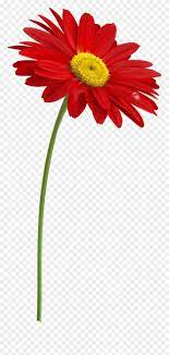 15 Flower Stem Png Rose Flower Png Flower Clip Flower Drawing