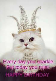 Happy Birthday Funny Birthday Quotes Happy Birthday Birthday Wishes For Best Friend 50 Fun Funny Happy Birthday Quotes To Send Your Best Friend On Her Big In 2020 Funny Happy Birthday Meme Funny Happy Birthday Pictures Happy Birthday Quotes Funny
