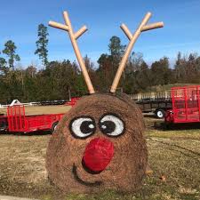 Check spelling or type a new query. Hay Bale Critters At Anderson S Lift The Spirits Of Local Residents Statesboro Herald