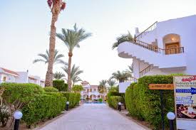 Dive inn is located along the waterfront at the southern end of kralendijk just past south pier. Dive Inn Resort Sharm El Sheikh Updated 2021 Prices