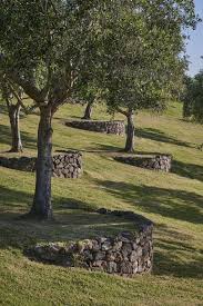 This spacing not only makes driveway damage less likely, but you won't have to deal with limbs banging into your car within a few years. 8 Best Tree Lined Driveway Ideas Tree Lined Driveway Landscape Design Landscape