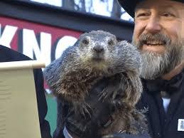 Mark Ringler's Instagram, Twitter & Facebook