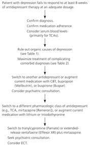 Image result for Refractory Depression Management