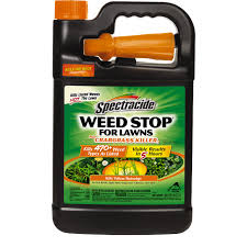 Make yourself a cup of tea and use the remainder of the boiling water on your weeds. Spectracide Weed Stop For Lawns Plus Crabgrass Killer3 Ready To Use Spectracide
