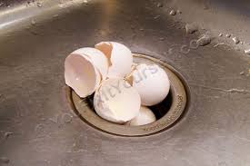 Eggshells In Garbage Disposal Good Or Bad Garbage Disposal Egg Shells Disposable