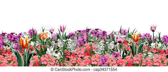 Free for commercial use no attribution required high quality images. Spring Floral Banner Floral Web Banner Beautiful Spring Flowers Isolated On A White Background Digital Illustration For Canstock