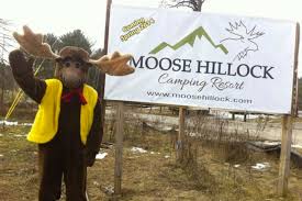 This campsite is located on 182 acres within the adirondack park and is less than ten miles from lake george. Moose Hillock Camping Resort New York Bookyoursite