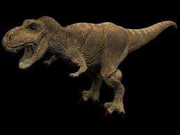 Tyrannosaurus Rex Dinosaur 3d Model Tyrannosaurus Rex 3d Model Tyrannosaurus