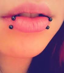 Piercing Snake Bites Piercing Facial Piercing Lip Piercing Jewelry Lip Piercing Mouth Piercings
