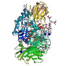 Onpg (2-Nitrophenyl Β-D-Galactopyranoside) | Β-Galactosidase Substrate |  Medchemexpress