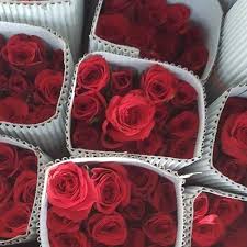 We did not find results for: Rose Flower In Bengaluru Rose Flower Dealers Traders In Bengaluru Karnataka