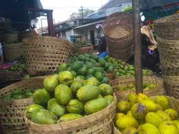 Buah yang hamper masak sudah memiliki rasa yang manis. Jalan Panjang Mangga Harum Manis Sampai Ke Meja Makan Kita Kumparan Com