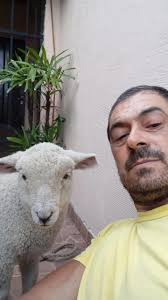 Miguel Ignacio Quiroga (@miguel.nauta73)'s videos with sonido original