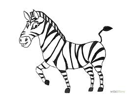How to Draw a Zebra | Zebra drawing, Zebras, Cartoon drawings