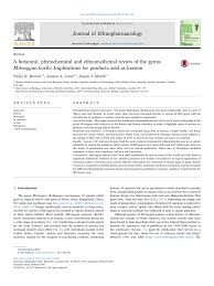 Image result for Mitragyna rubrostipulata