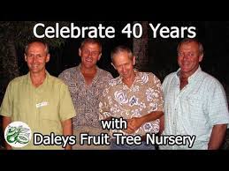 Blossom trees stardew valley mod album on imgur. Fruit Trees Daleys Fruit Tree Nursery Sell Fruit Trees Like Subtropical Fruits Nut Trees Forestation Trees He Fruit Tree Nursery Fruit Trees Plant Nursery