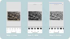 Snapseed Black And White Tutorial For The Perfect B W Photos