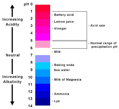 Phenolphthalein Indicator Color Chart Bedowntowndaytona Com