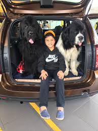 Cristina hurtado nació en medellín, el 14 de septiembre de 1983. Casa De Copos Posts Facebook