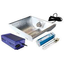 We did not find results for: Maxibright Daylight 315w Cdm Cmh Grow Light Digital Grow Lights Somerset Hydroponics
