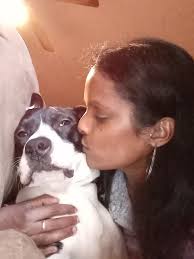 American Dad episode plot confusion