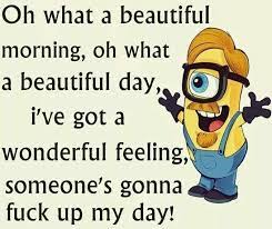 You can't blame gravity for falling in love. Beautiful Day Funny Minion Quotes Work Humor Funny Minion Memes