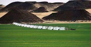 صور من ليبيا on twitter libya photo golf courses