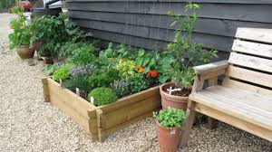 Stinging nettles are a rich source of magnesium, iron, calcium, and silica, and any plant growing in companion to them will benefit. Herbs And Their Use In Companion Planting Deans Nursery And Garden Centre At Mill Farm