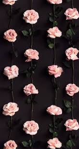 New Flowers Wallpaper Iphone Backgrounds Black White 34 Ideas Flower Aesthetic Flowers Photography Wallpaper Flower Backgrounds