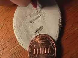 How To Write Your Name On A Grain Of Rice Fun Crafts For Kids Writing Rice