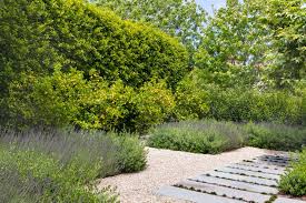 We did not find results for: How To Create A Drought Resistant Garden