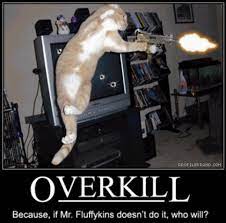 Best Funny Cats 2012 Funny Cats And Dogs Funny Cat Pictures Cats