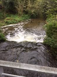 Wellgrab is an electric release fishing tool. Erft River Picture Of Gymnicher Muhle Erftstadt Tripadvisor