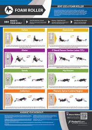 Gym And Fitness Chart Foam Roller