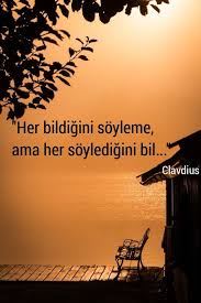 Her Bildigini Soyleme Ama Her Soyledigini Bil Ozlu Sozler Derin Alintilar Ilham Verici