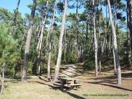 Table De Pique Nique Foret De Chiberta Anglet Table De Pique Nique Pique Nique Foret
