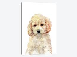 We did not find results for: Cockapoo Puppy Canvas Art Print By Watercolor Luv Icanvas