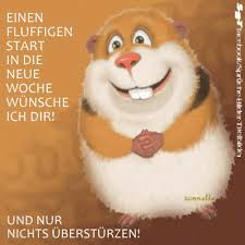 Https Encrypted Tbn0 Gstatic Com Images Q Tbn 3aand9gcrnw6owqekpm Zwkvyhro34ybol0ji4wf1o6q Usqp Cau