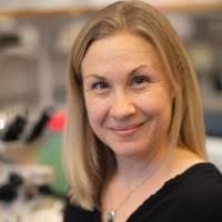 Patrick Manser Email & Phone Number